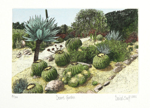 Desert Garden
