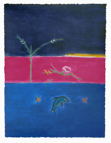 Untitled -Dolphin