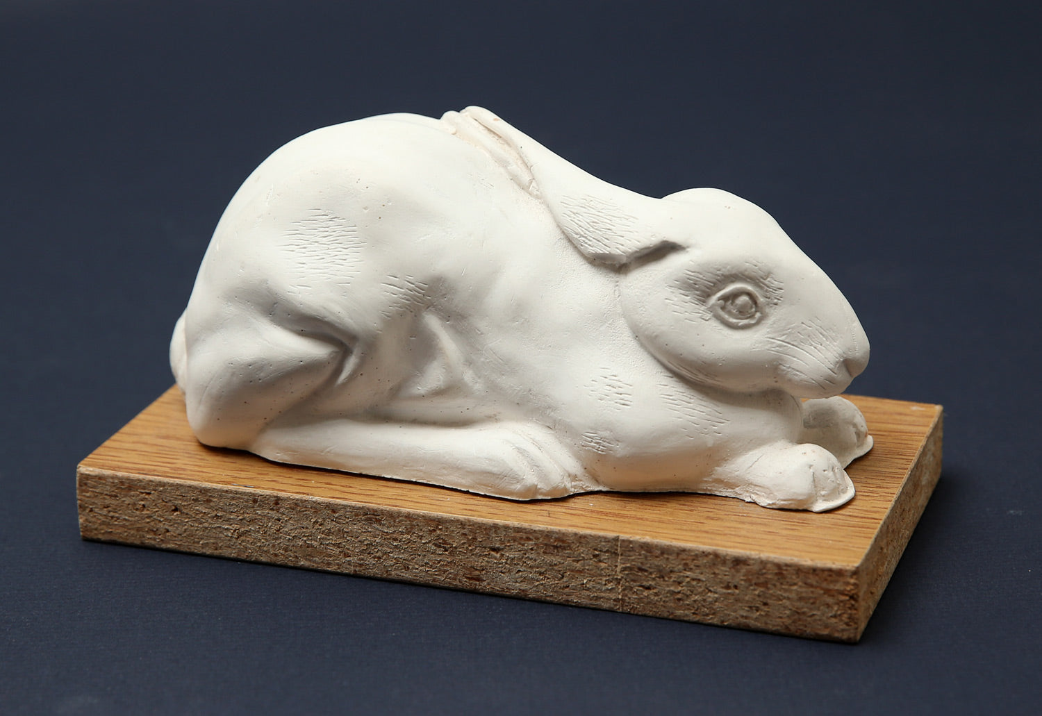 Paoo Rabbit Rabbit – Goldmark