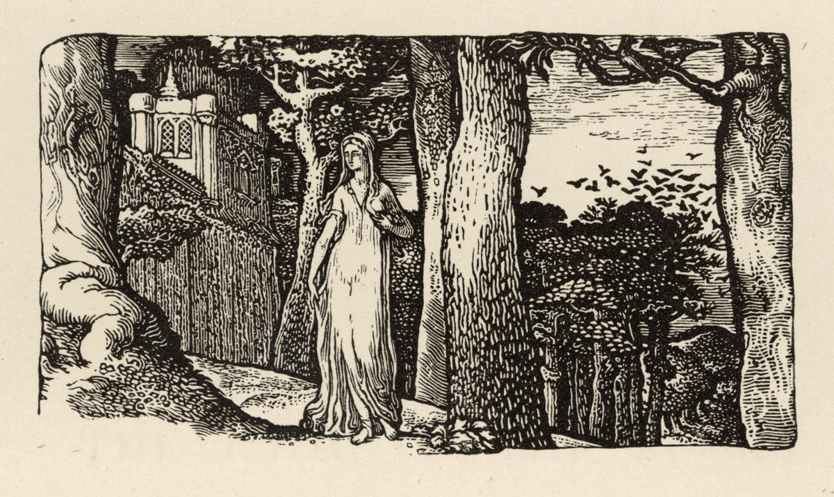 Edward Rooks Edward Calvert The Lady and The Rooks – Goldmark