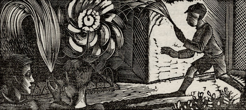 November - Fireworks