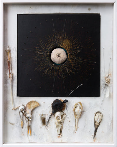 Eynhallow Sound (Broch of Gurness)