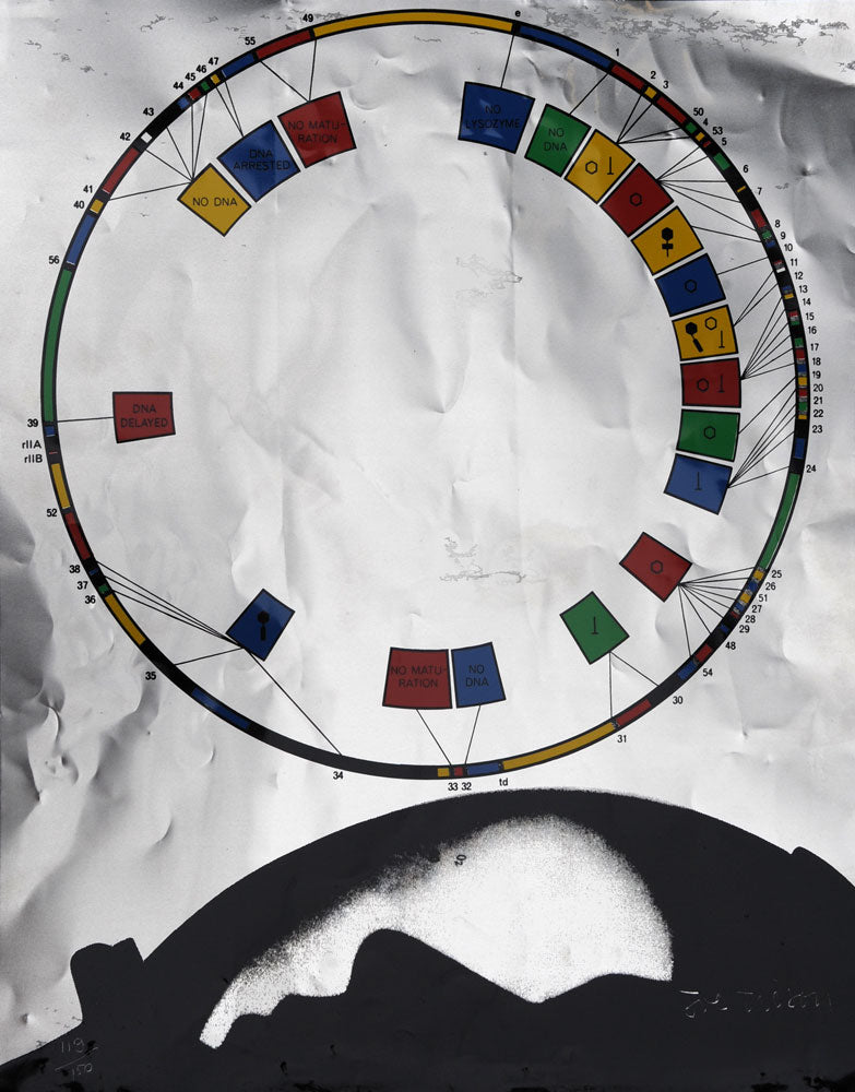 The Software Chart Questionnaire