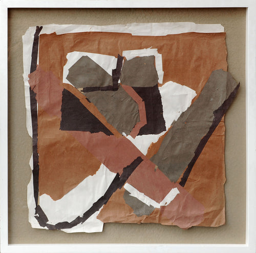 Brown Field with White