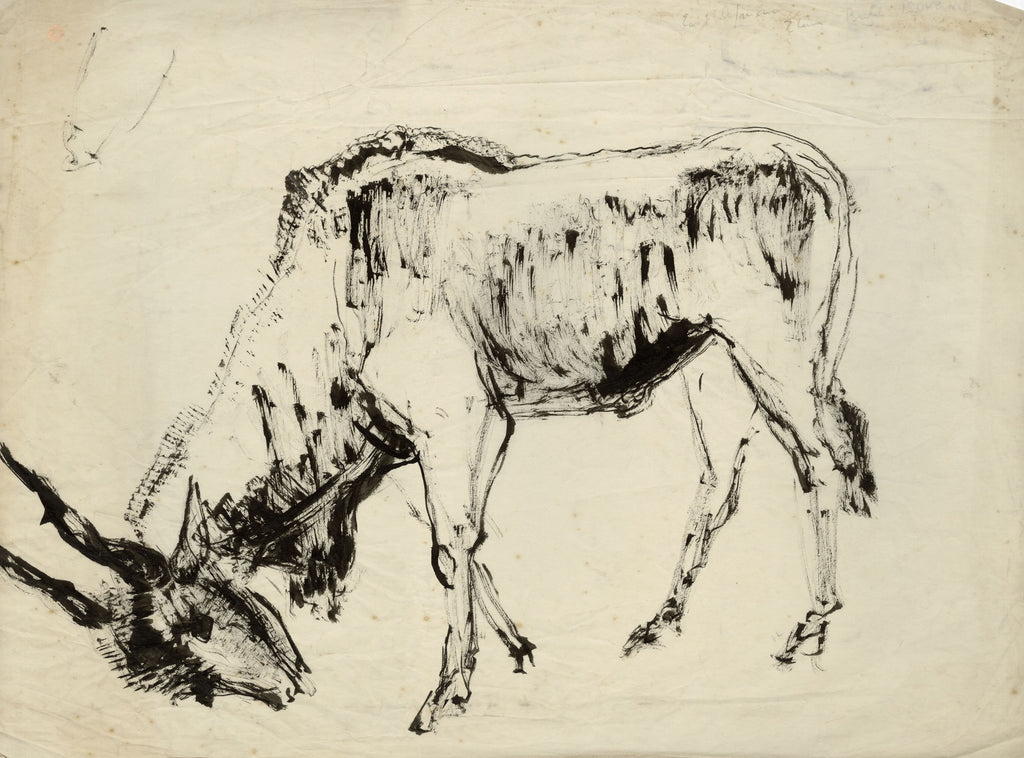 Bowing East African Eland Bull