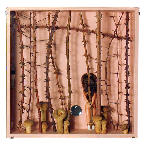 Thorns Puffballs and Voyeurism