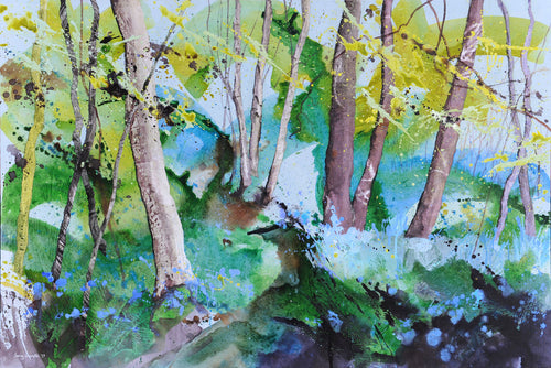 Glorious Bluebells, Swithland Woods