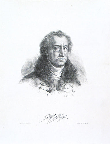 Portrait of Goethe
