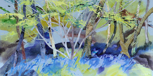 Bluebells and Birdsong