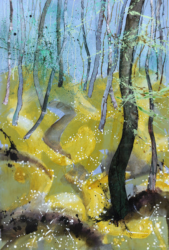 Path through the wood anemones