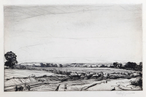 Angmering Park, Sussex