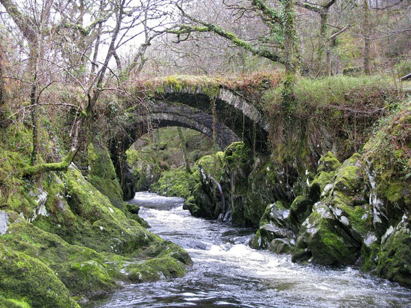 Bridge in Wales