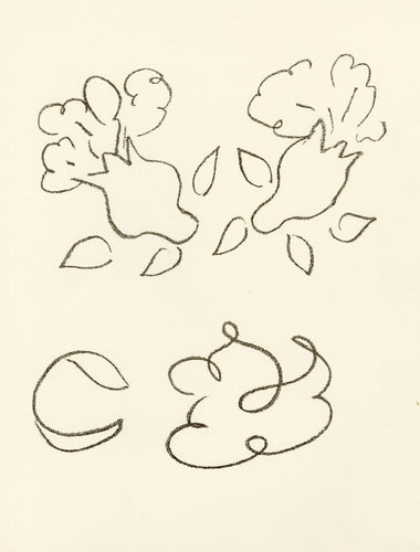 Étude pour le Livre ' La Religieuse Portugaise'