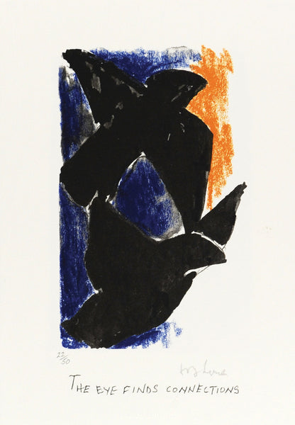 The eye finds connections