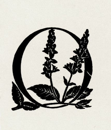 Initial O with Speedwell