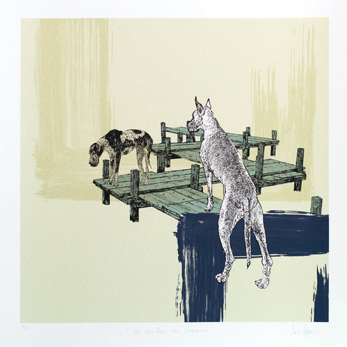 The Dog and his Shadow