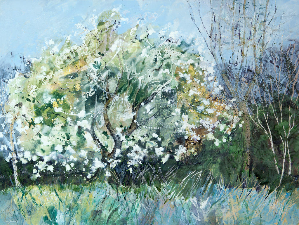 Beautiful Apple Blossom