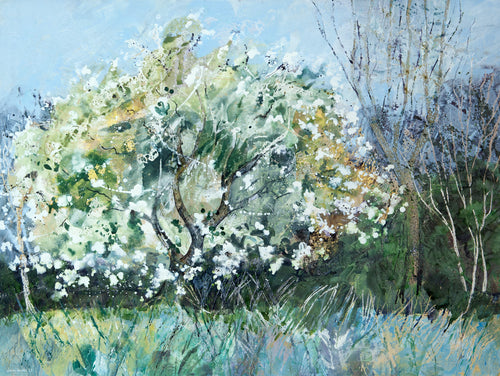 Beautiful Apple Blossom