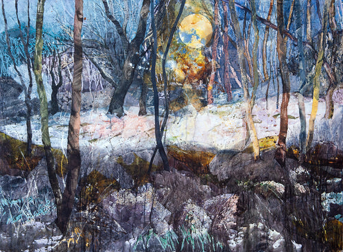 Moonlight in the Woods