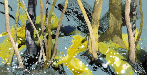 Wood Anemones, Swithland Woods