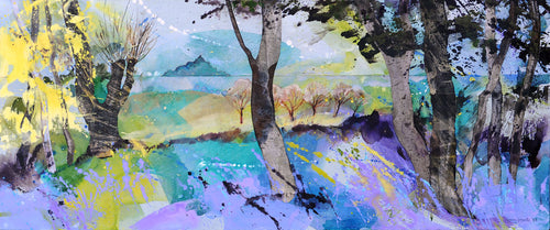 Cornish Coast Bluebells