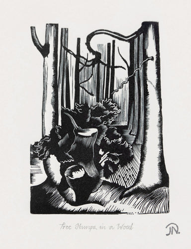 Tree Stumps in a Wood