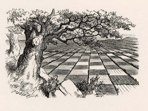 Alice stood without speaking, looking out in all directions over the country - and a most curious country it was