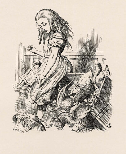 She jumped up in such a hurry that she tripped over the jury-box with the edge of her skirt...