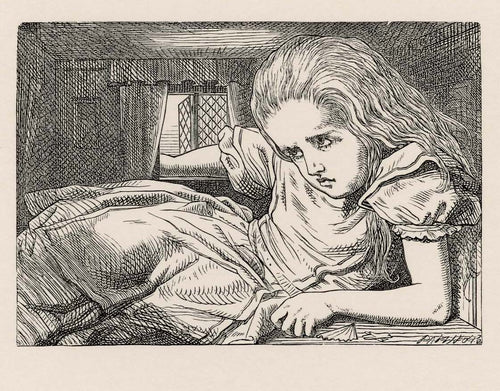 Still she went on growing, and as a last resource, she put one arm out of the window, and one foot up the chimney...