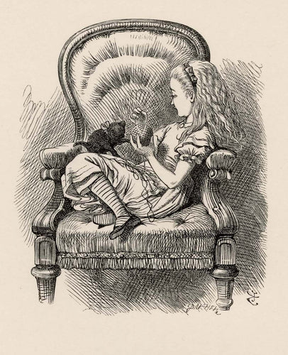 What have you got to say for yourself? Now don't interrupt me!'