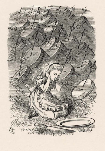 She dropped to her knees and put her hands over her ears, vainly trying to shut out the dreadful uproar...