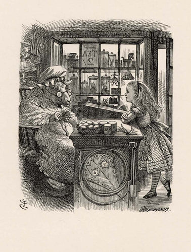 She was in a little dark shop, leaning with her elbows on the counter, and opposite to her was an old Sheep ...