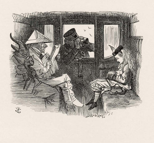 The Guard was looking at her, first through a telescope then through a microscope, and then through an opera-glass...