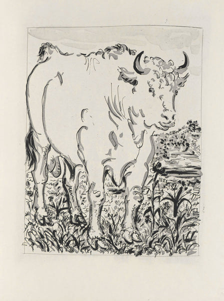 Balade Le culte du taureau - Gard