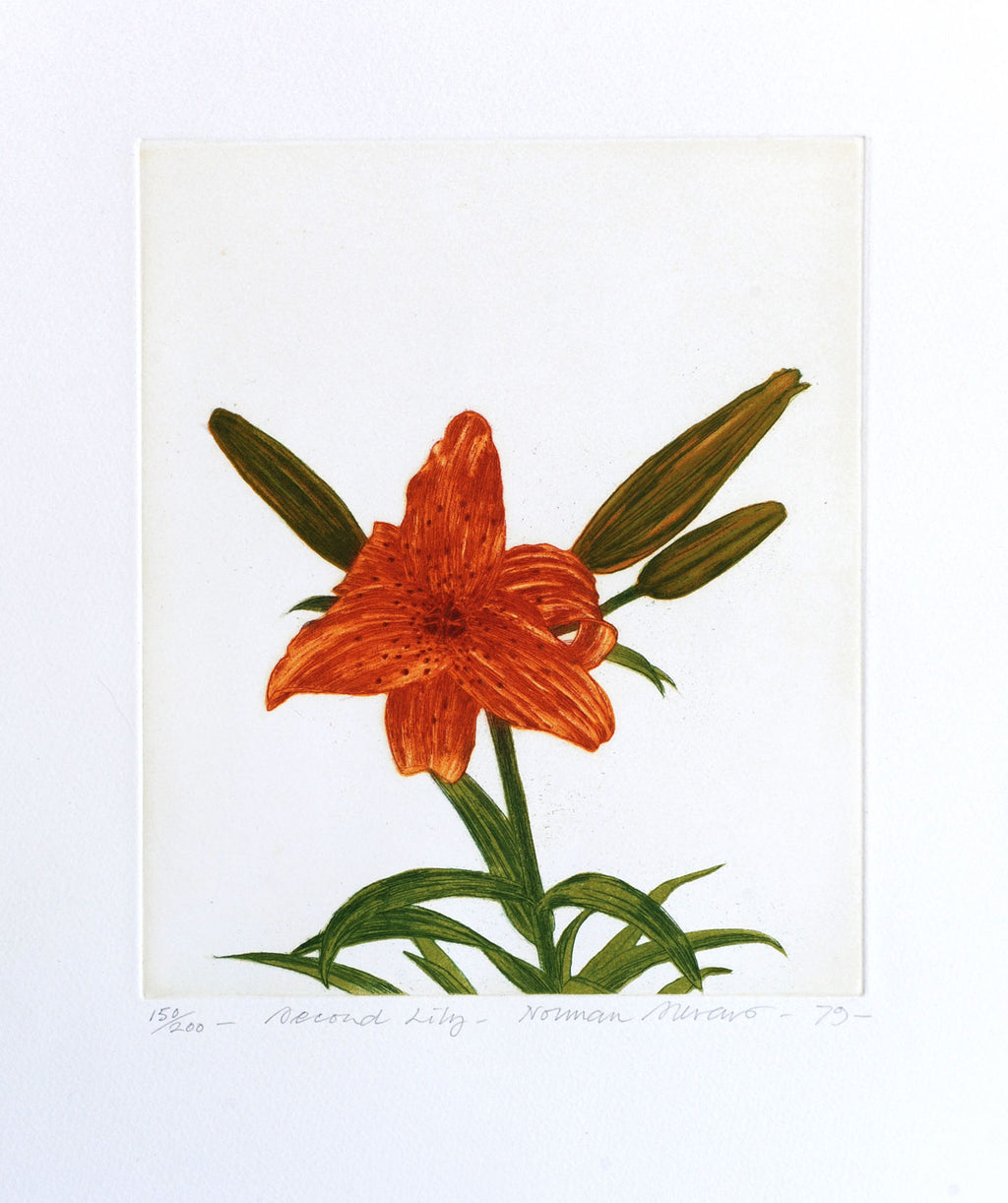 Second Lily