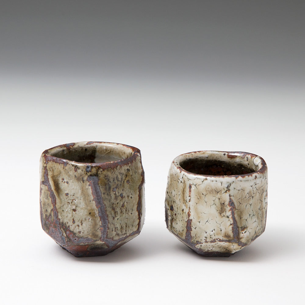 Sake Bottle & Two Cups