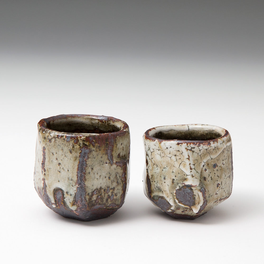 Sake Bottle & Two Cups