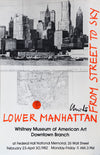 Lower Manhattan - From Street to Sky