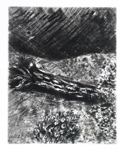 The Oak and the Reed