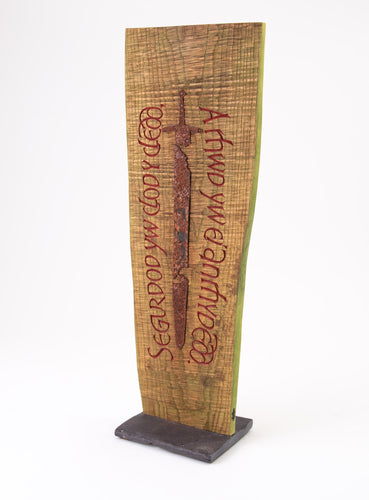 Gwastraff a Rhyfel (Waste and War)