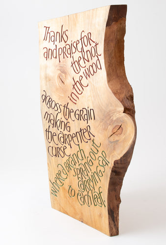 The Knot in the Wood