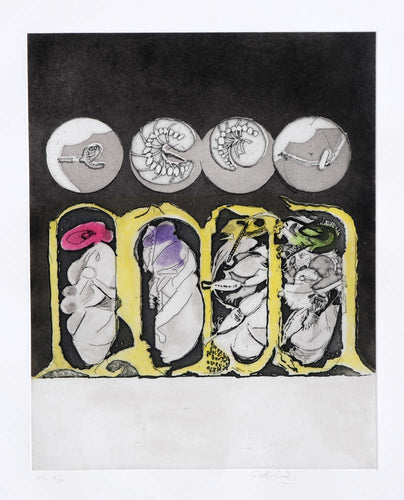 Metamorphosis: Egg, Larvae, Pupae