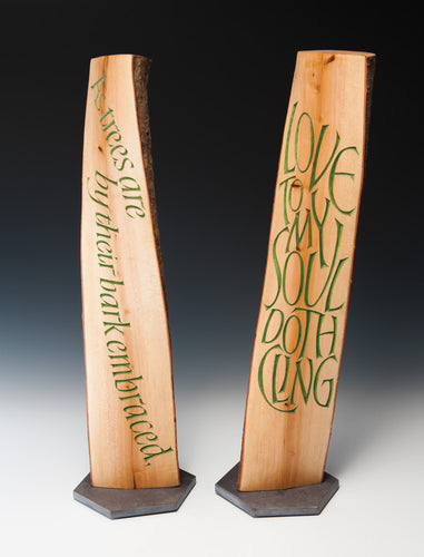 Metaphor and Reality