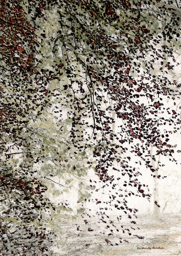 Meeting up in the Beeches