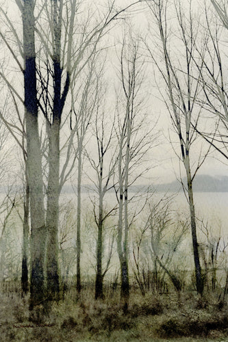 View to the Far Shore at the Waters Edge