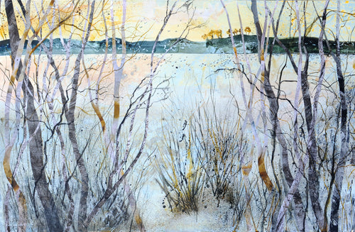 Mysterious Evening by the Water