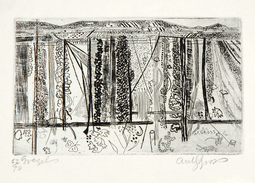 Small Vineyard at Gr?