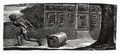 A rolling stone is ever bare of moss??