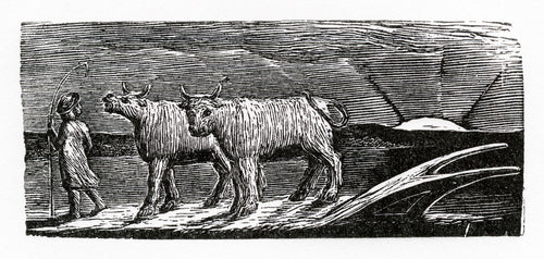 and now behold the sun's departing ray??