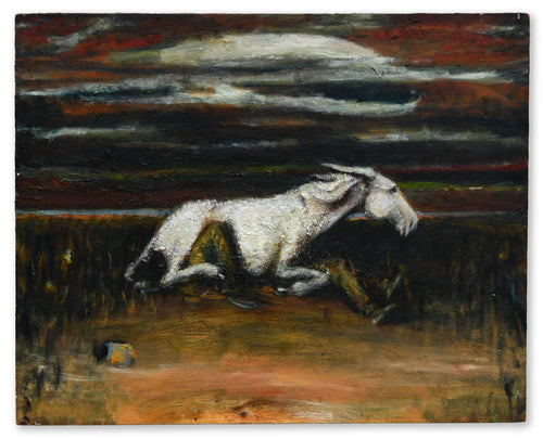 Donkey After a Storm